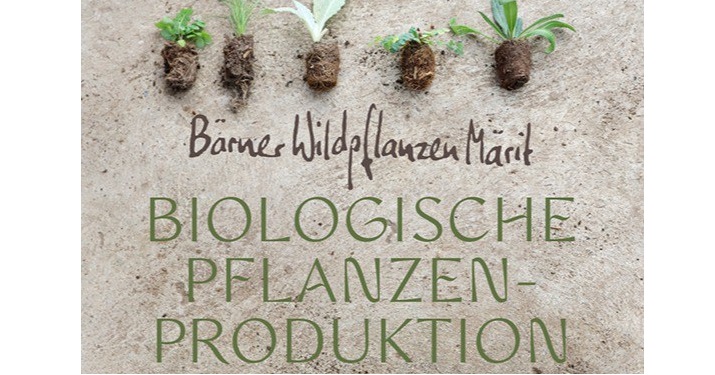 Bärner Wilpflanzen Märit