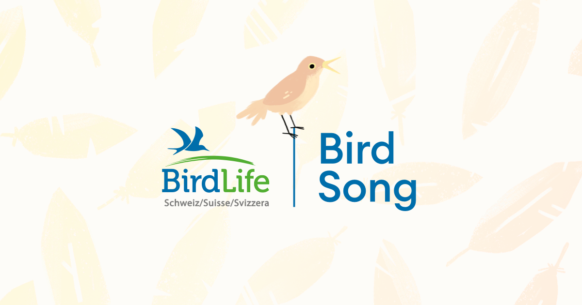 https://bird-song.ch/