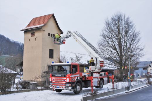 Turmfalke beim Trafoturm