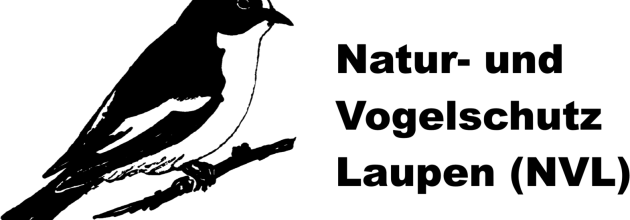 Logo NVL