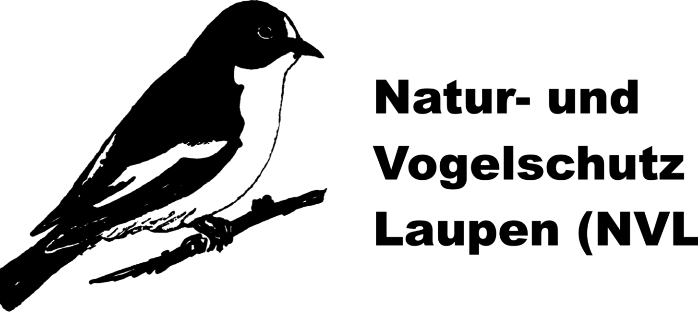 Logo NVL