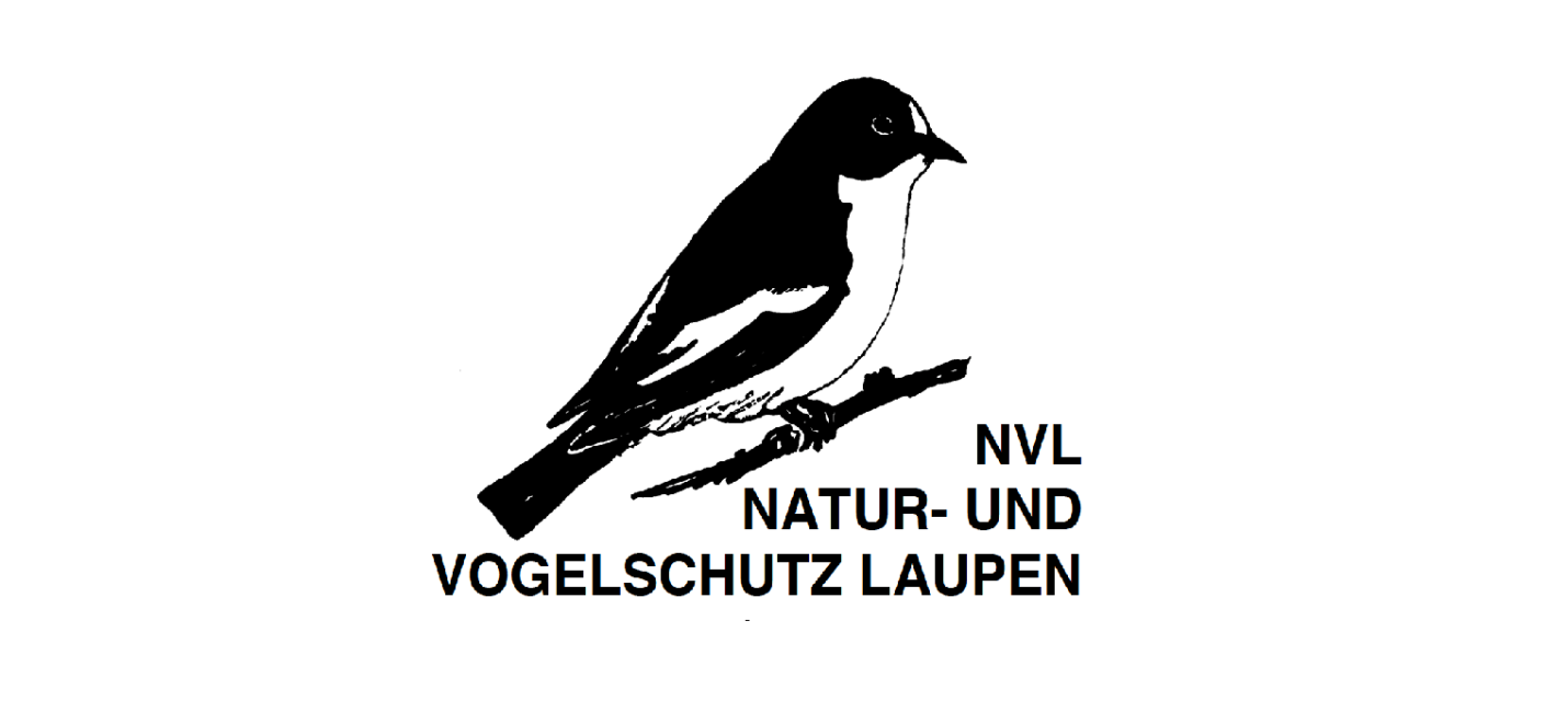 Logo NVL