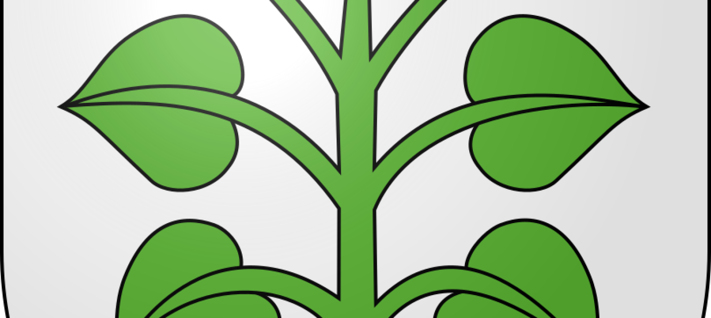 Burgergemeinde Laupen