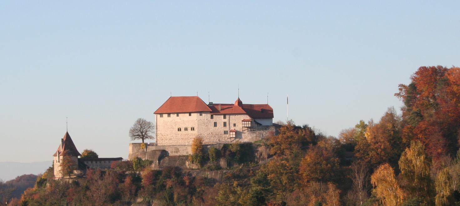 Schloss Laupen