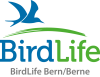 Birdlife Bern